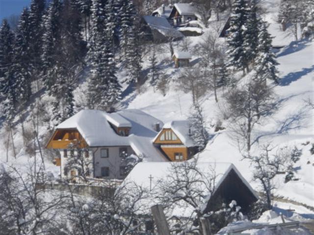 Ferienwohnungen Gornik -  Poljane nad Škofjo Loko AP1 (3+2) Stari Vrh