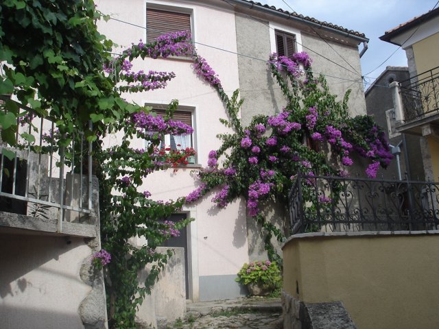 Ferienwohnung Merikanić - Beli, Cres (2 + 1)