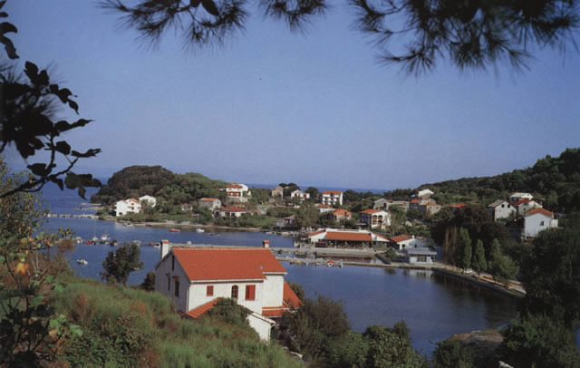 Apartments Ivan, island of Rab