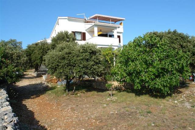 Apartments Salvia island Pag Mandre AP1A (4+1)