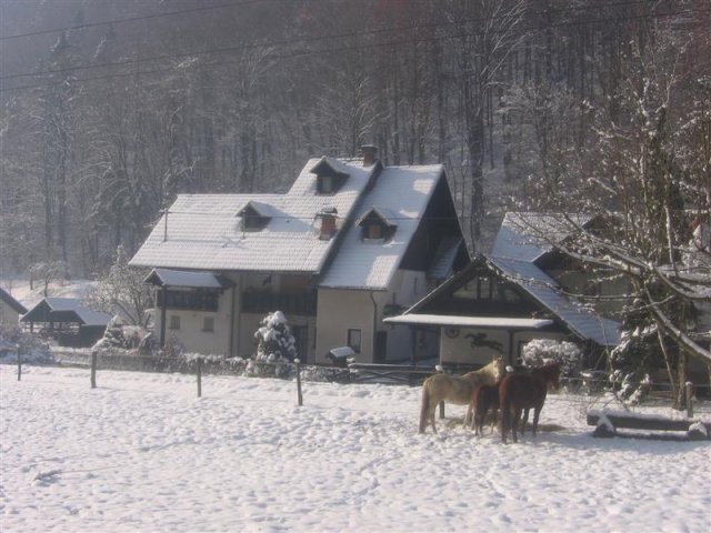 Apartmani Gubanec - Cerklje na Gorenjskem AP2 (4+1)